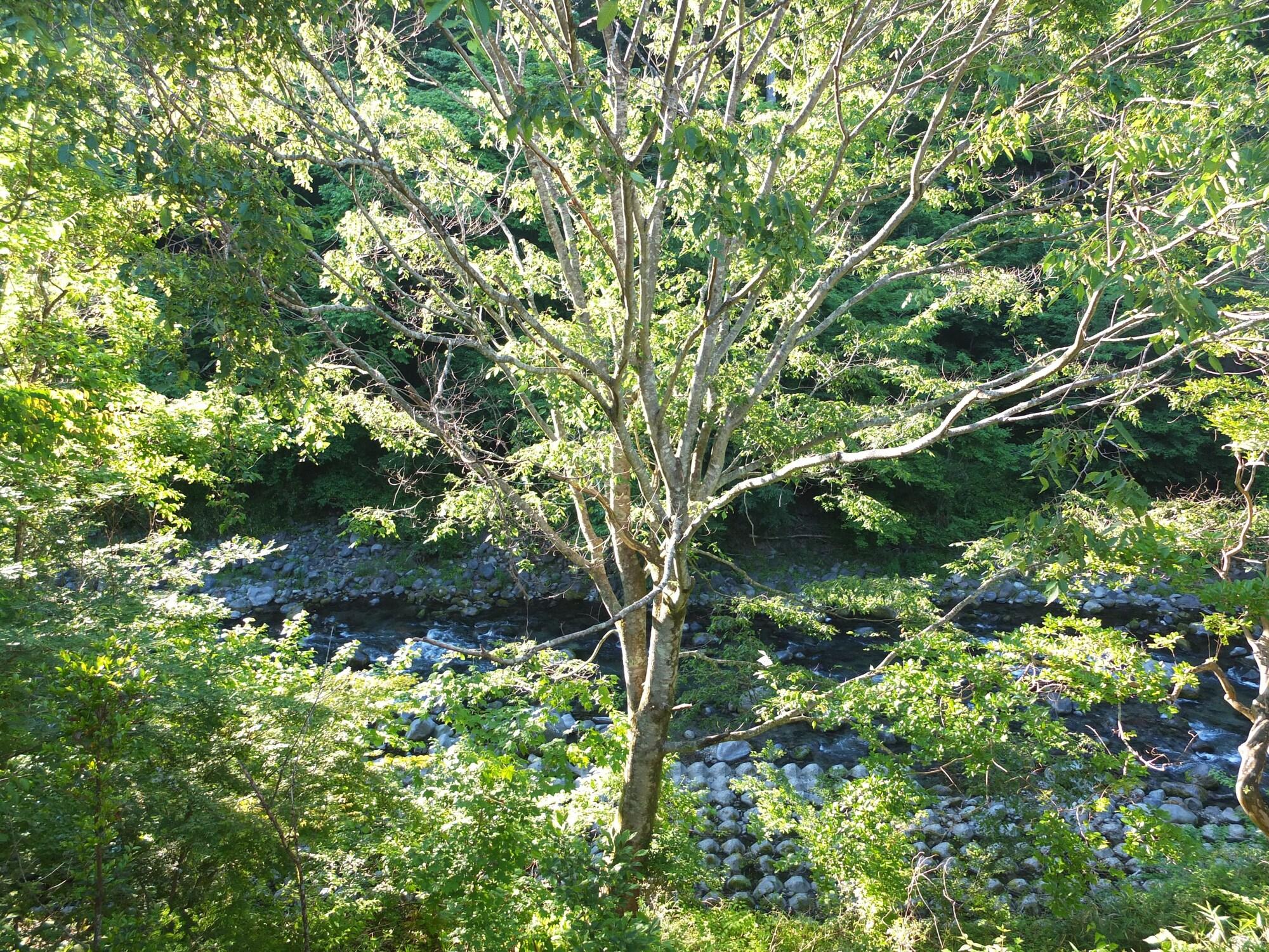 Annex Turtle Hotori-An Hotel Nikko Exterior photo